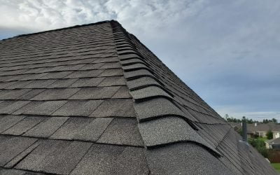Pearland Roofing Expertise