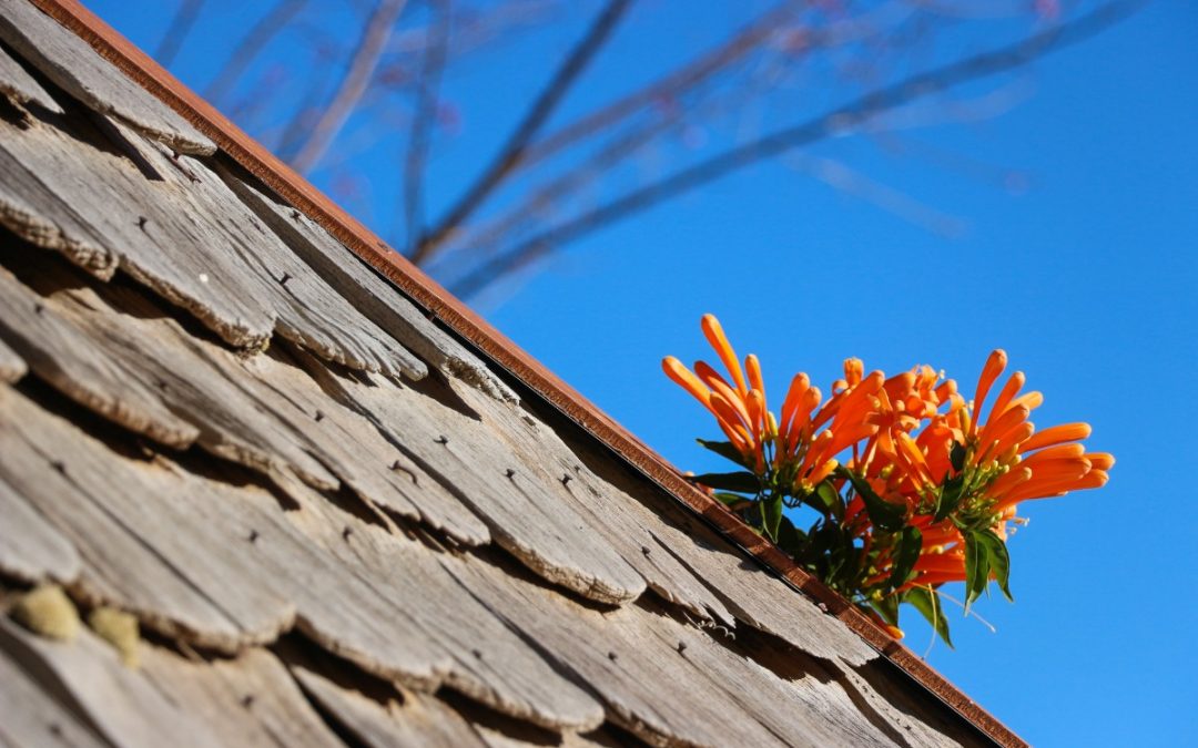 Prepare Your Roof For the Spring with This Handy Checklist