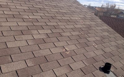 Reliable and Durable Roofing Services in Alvin, Texas